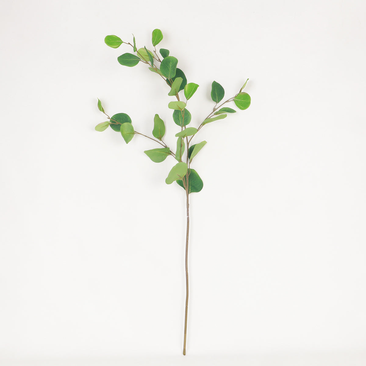 France Eucalyptus - Green - Accessories | Vinoti Living