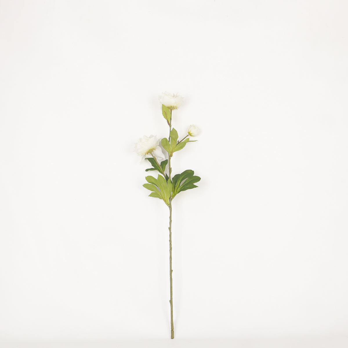 Hibiscus X3 - White - Accessories | Vinoti Living
