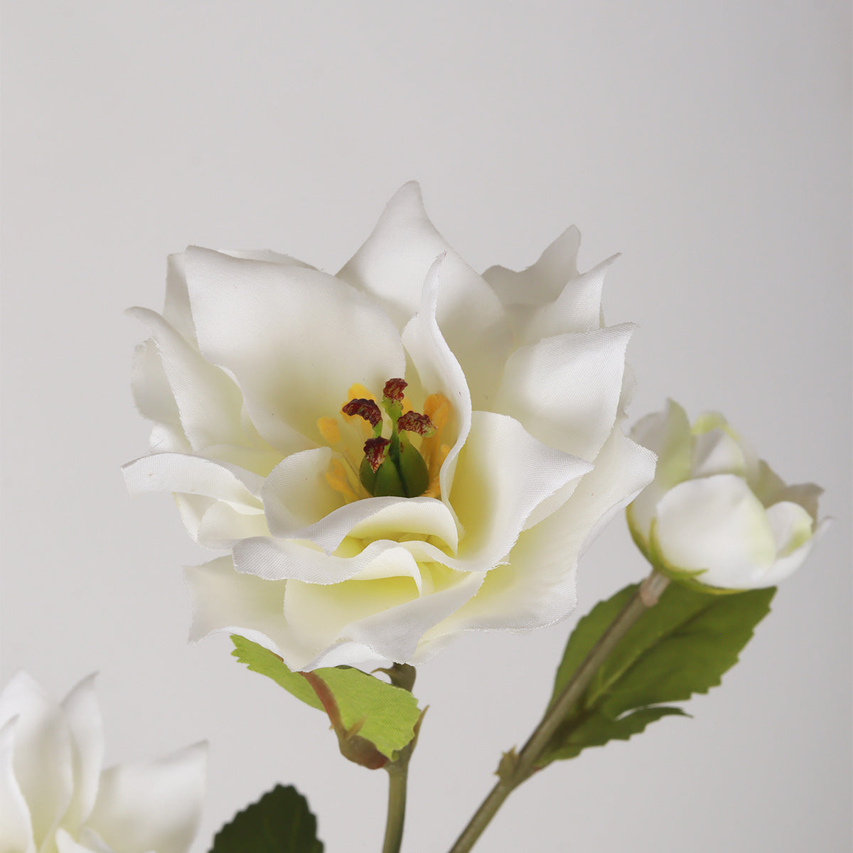Hibiscus X3 - White - Accessories | Vinoti Living