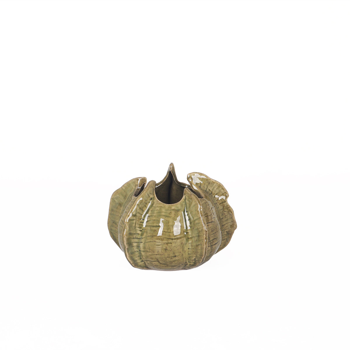 Safari Frill Short Vase | Vinoti Living