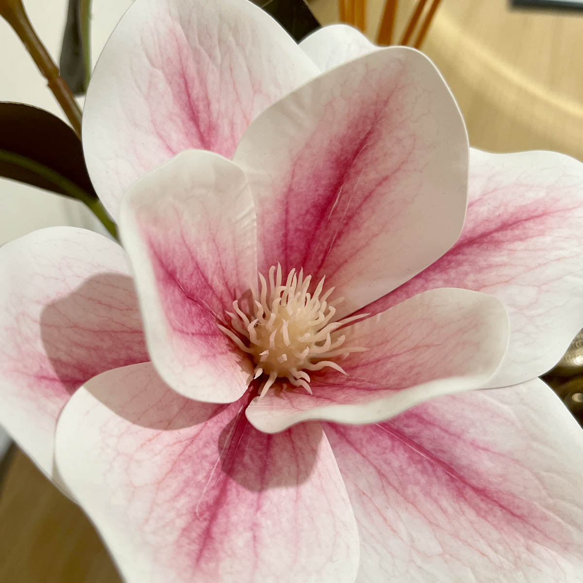 Magnolia in Vase Flower