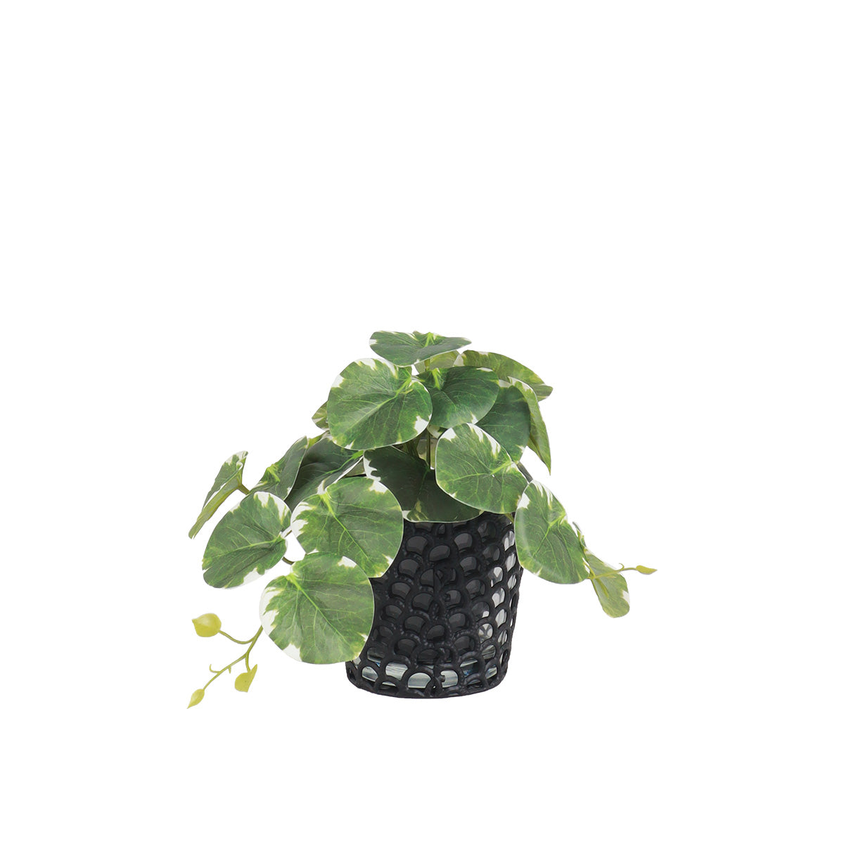 Arcadia Scale Candle Holder | Vinoti Living