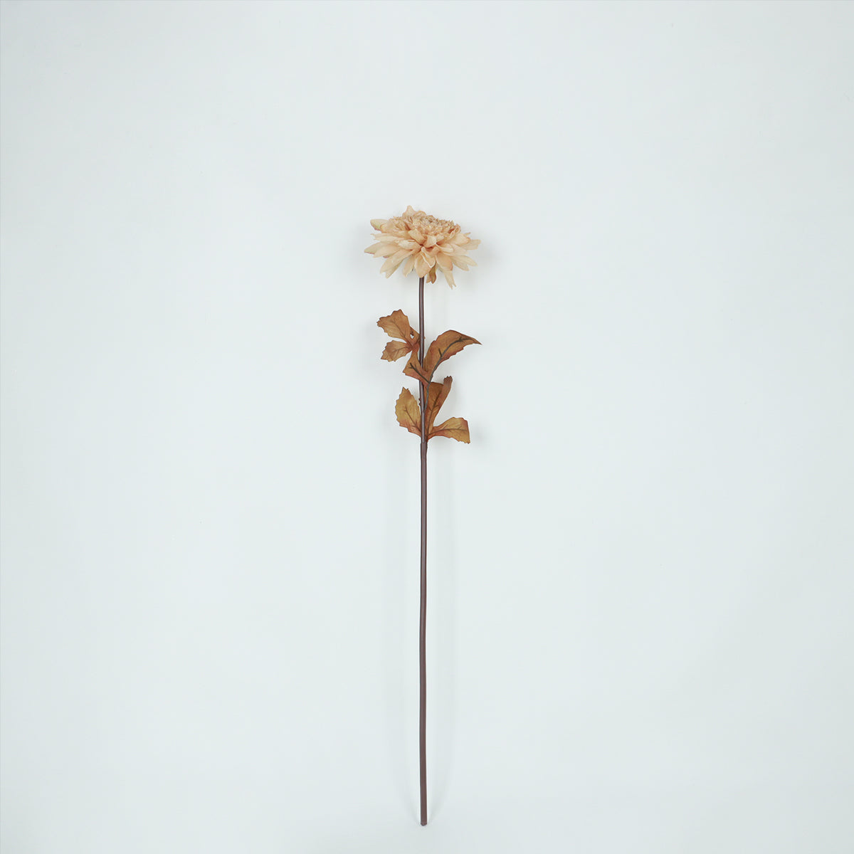 Dahlia Wheat Flower - Accessories | Vinoti Living