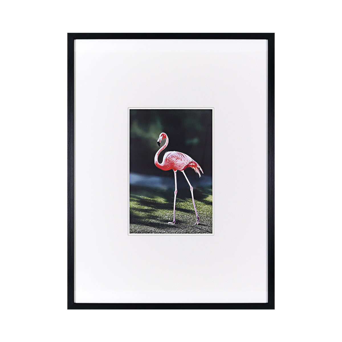 Flamingo Series Standing - Wall Art | Vinoti Living