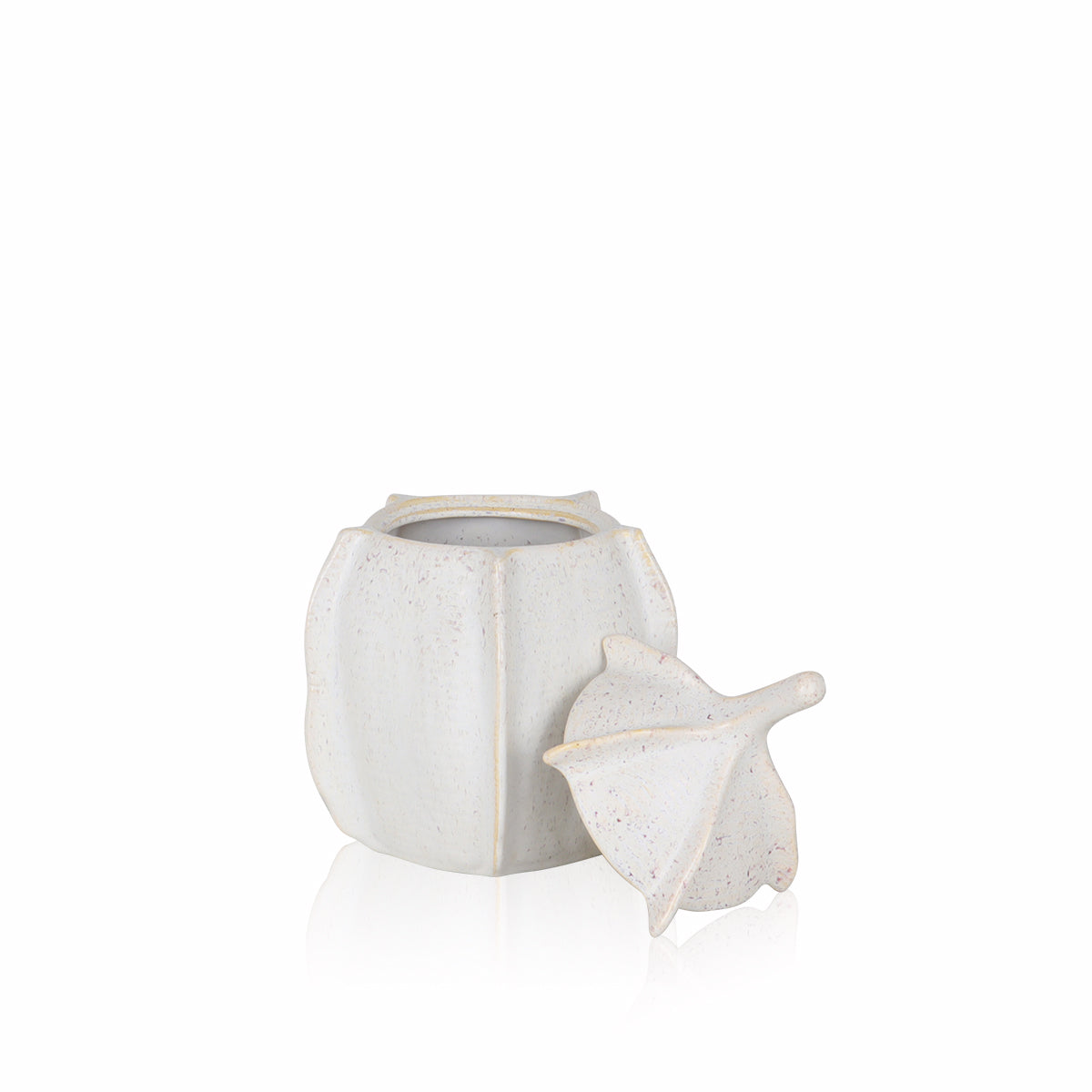 Cala Allium Large Vase - Accessories | Vinoti Living