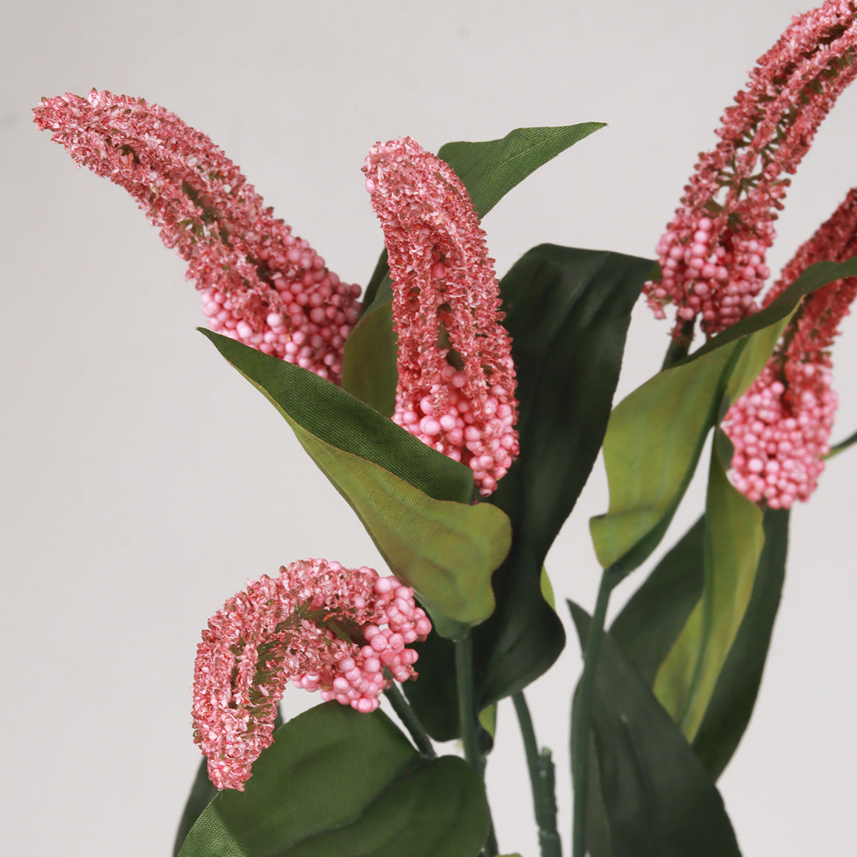 Cascara X7 - Pink - Accessories | Vinoti Living