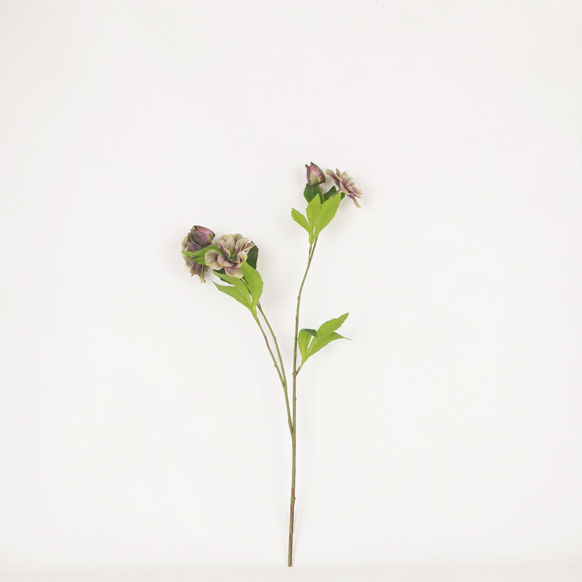 Christmas Rose Green Purple Flower - Accessories | Vinoti Living