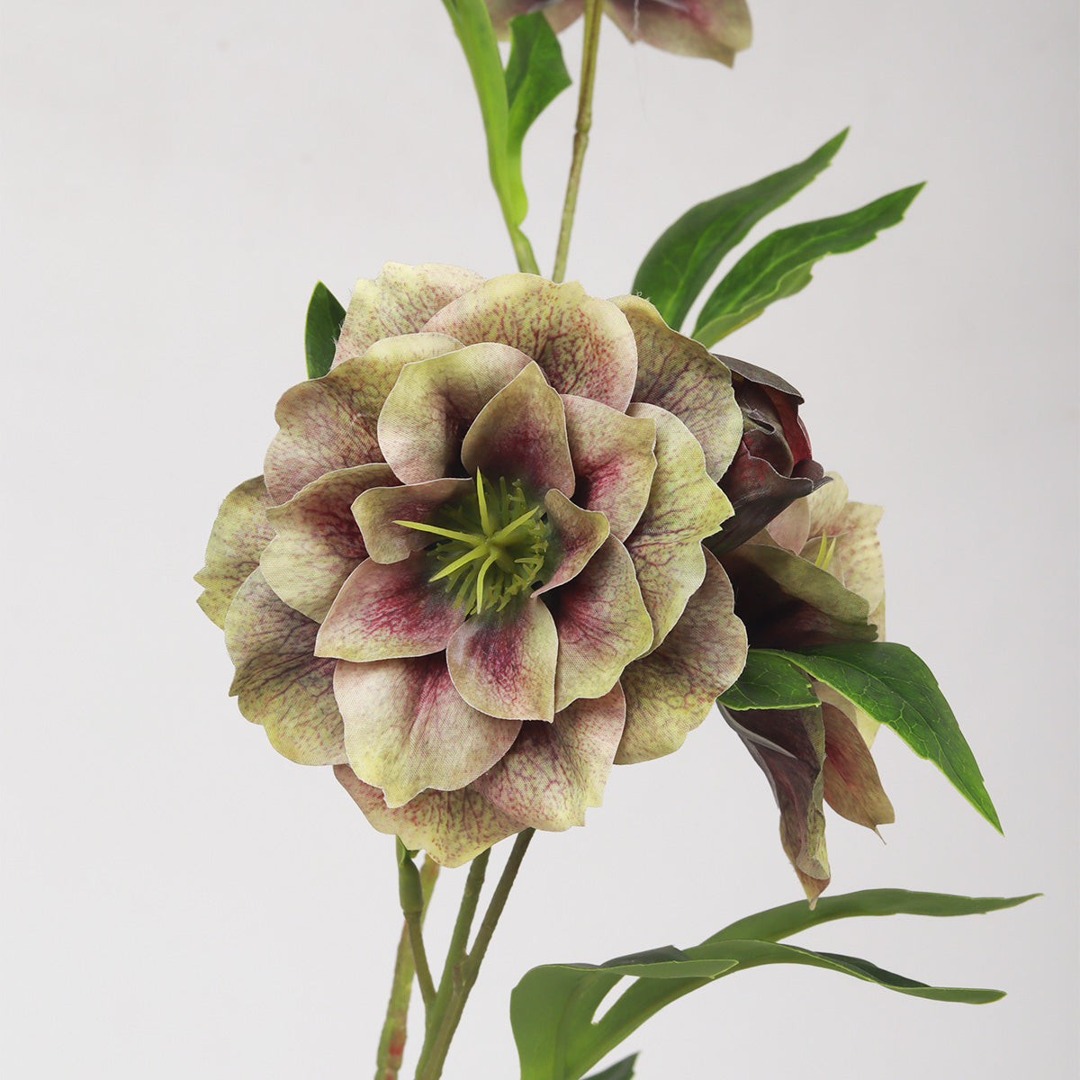 Christmas Rose Green Purple Flower - Accessories | Vinoti Living