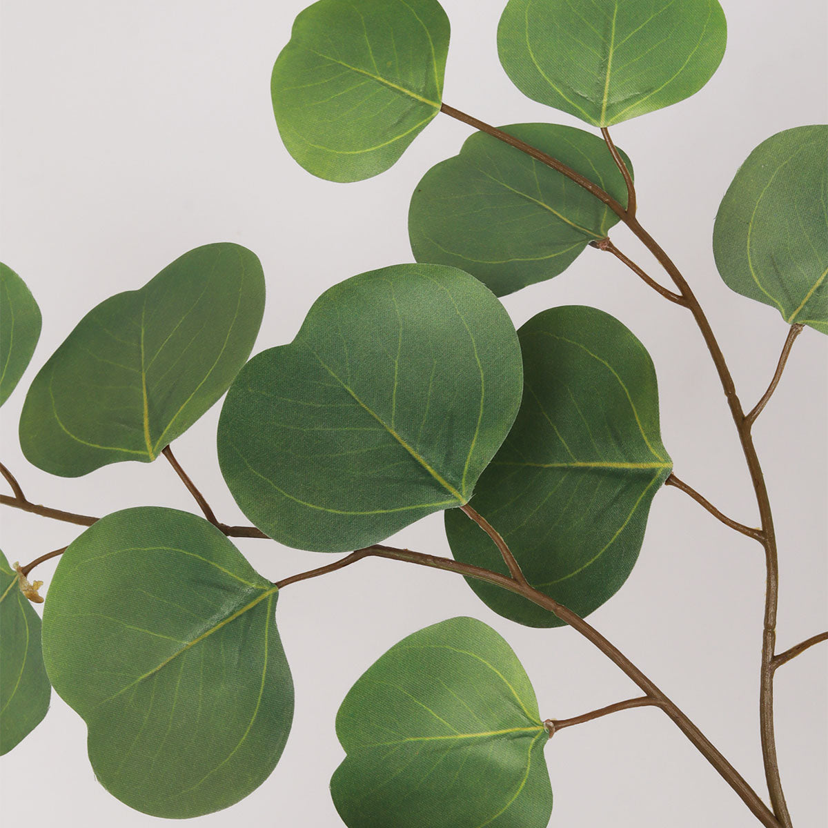 Eucalyptus - Green - Accessories | Vinoti Living