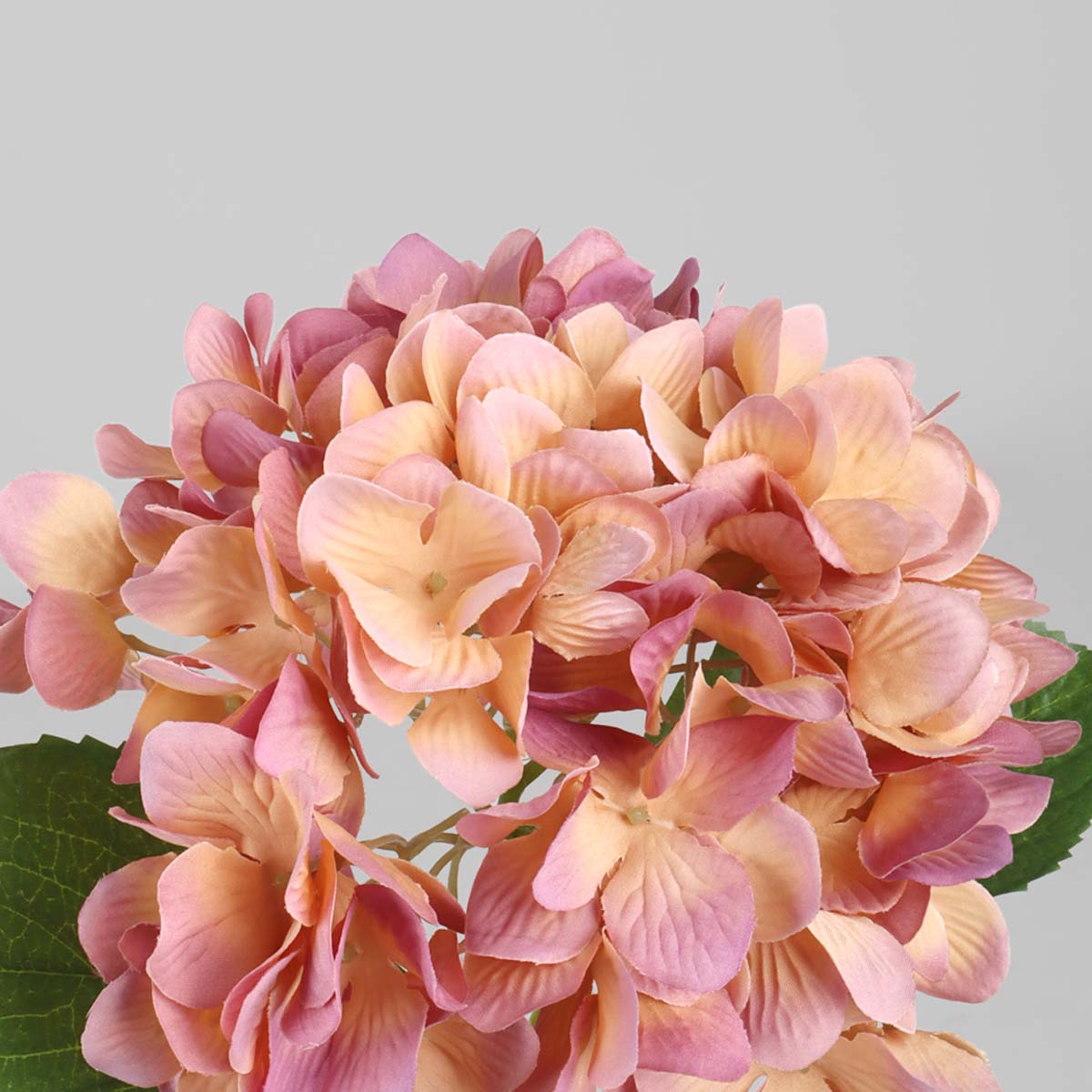 Hydrangea X1 - Lilac Flower - Accessories | Vinoti Living