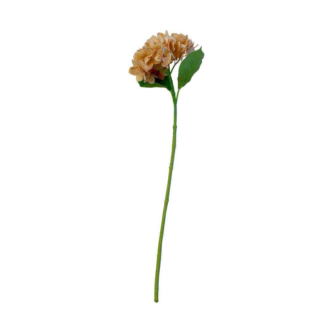 Hydrangea X1 - Autumn Flower - Accessories | Vinoti Living