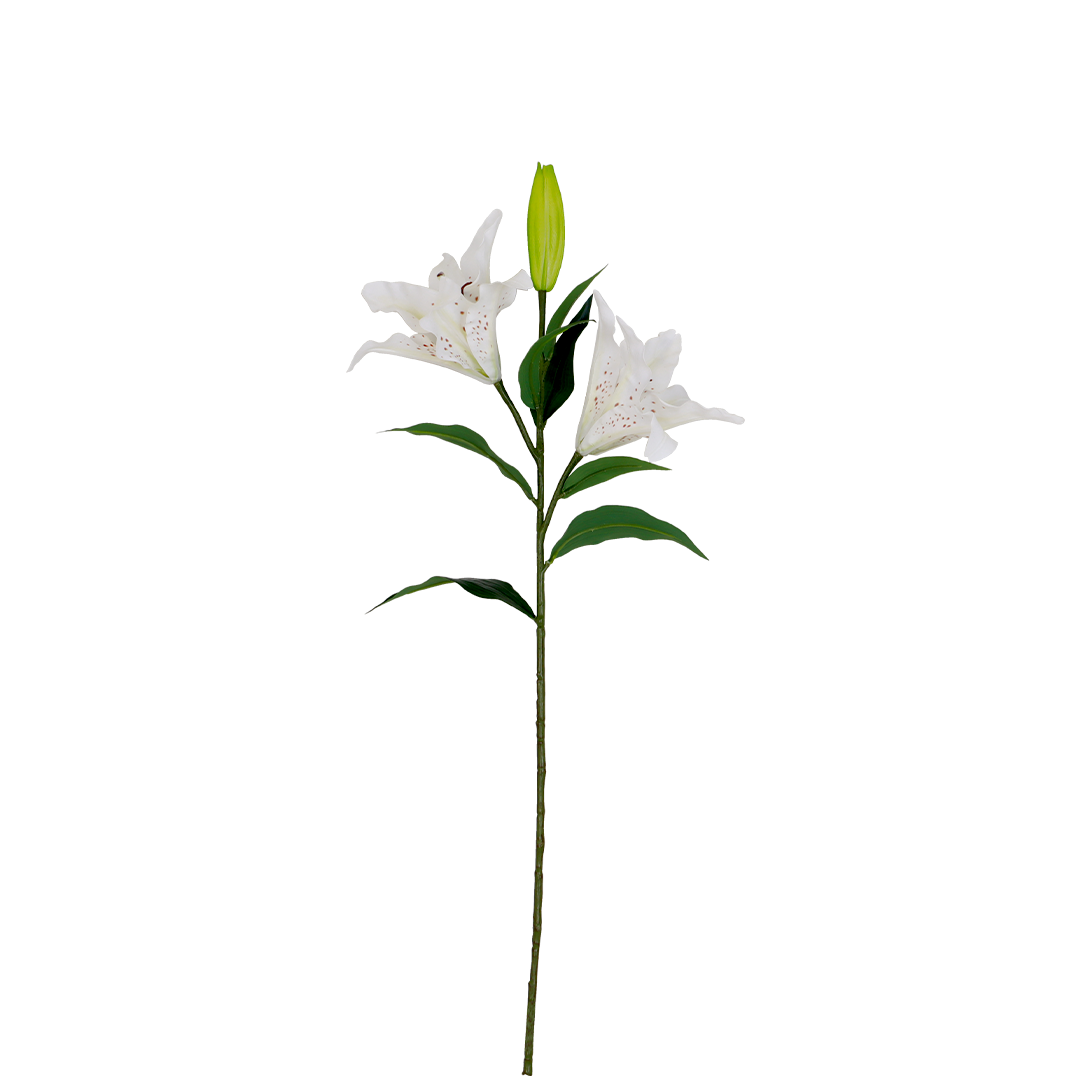 Lily White Flower - Accessories | Vinoti Living