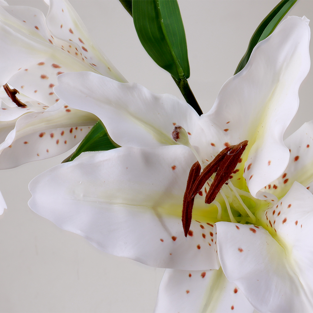 Lily White Flower - Accessories | Vinoti Living