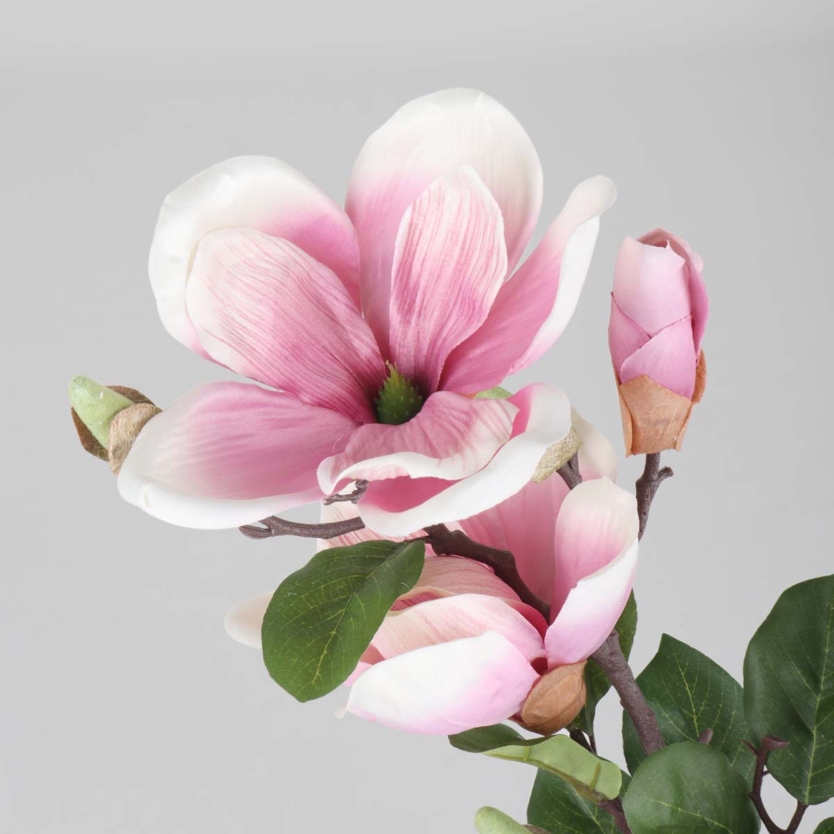 Magnolia Dusty Pink Flower - Accessories | Vinoti Living