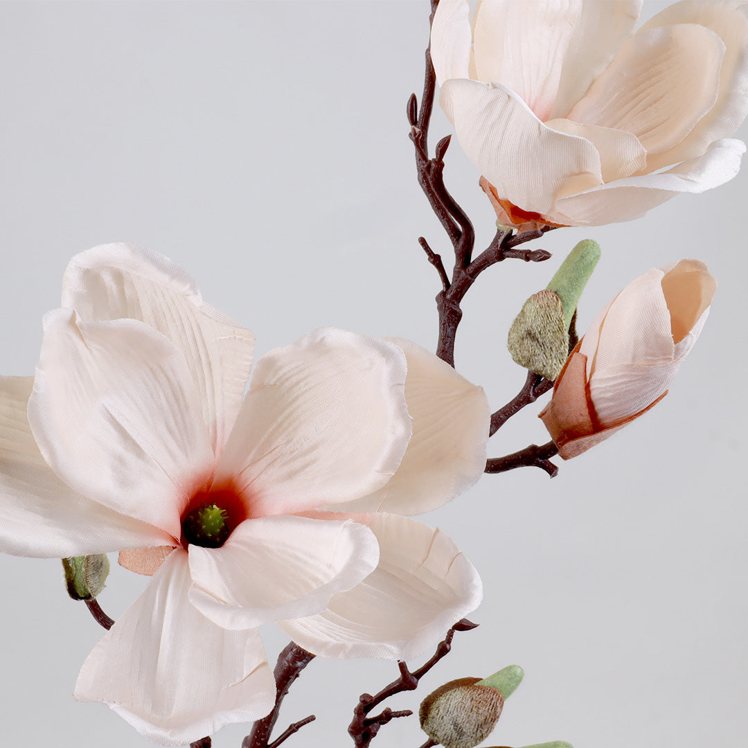 Magnolia Cream Flower - Accessories | Vinoti Living