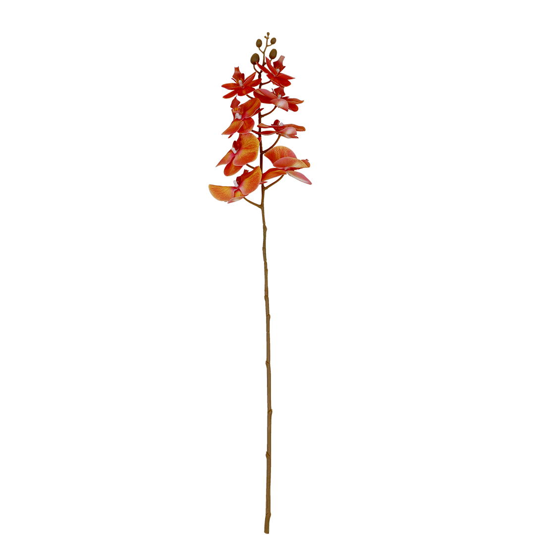 Phalaenopsis Coral Flower - Accessories | Vinoti Living