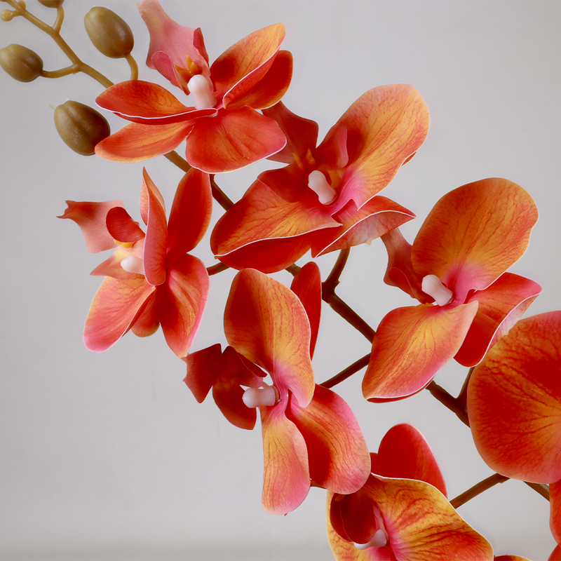 Phalaenopsis Coral Flower - Accessories | Vinoti Living