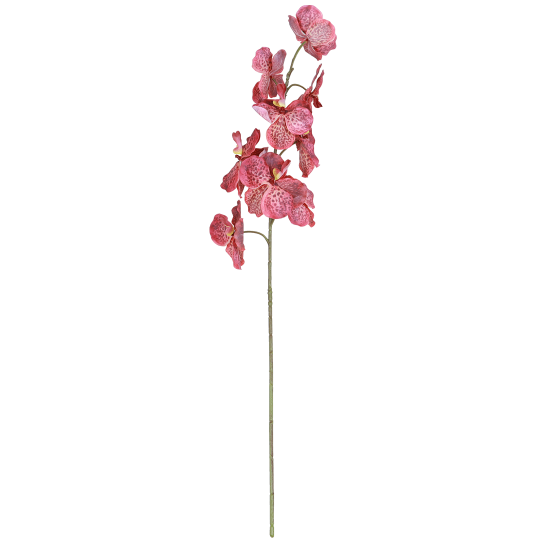 Phalaenopsis Magenta Flower - Accessories | Vinoti Living