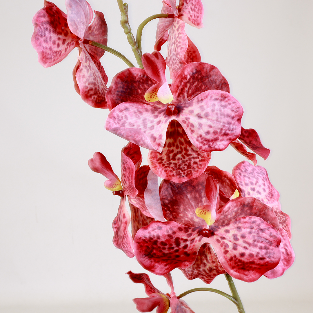 Phalaenopsis Magenta Flower - Accessories | Vinoti Living