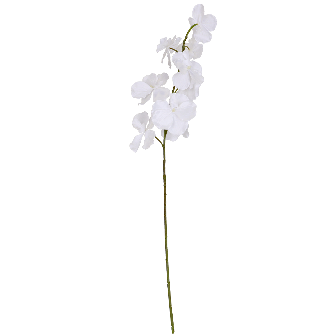 Phalaenopsis Snow Flower - Accessories | Vinoti Living
