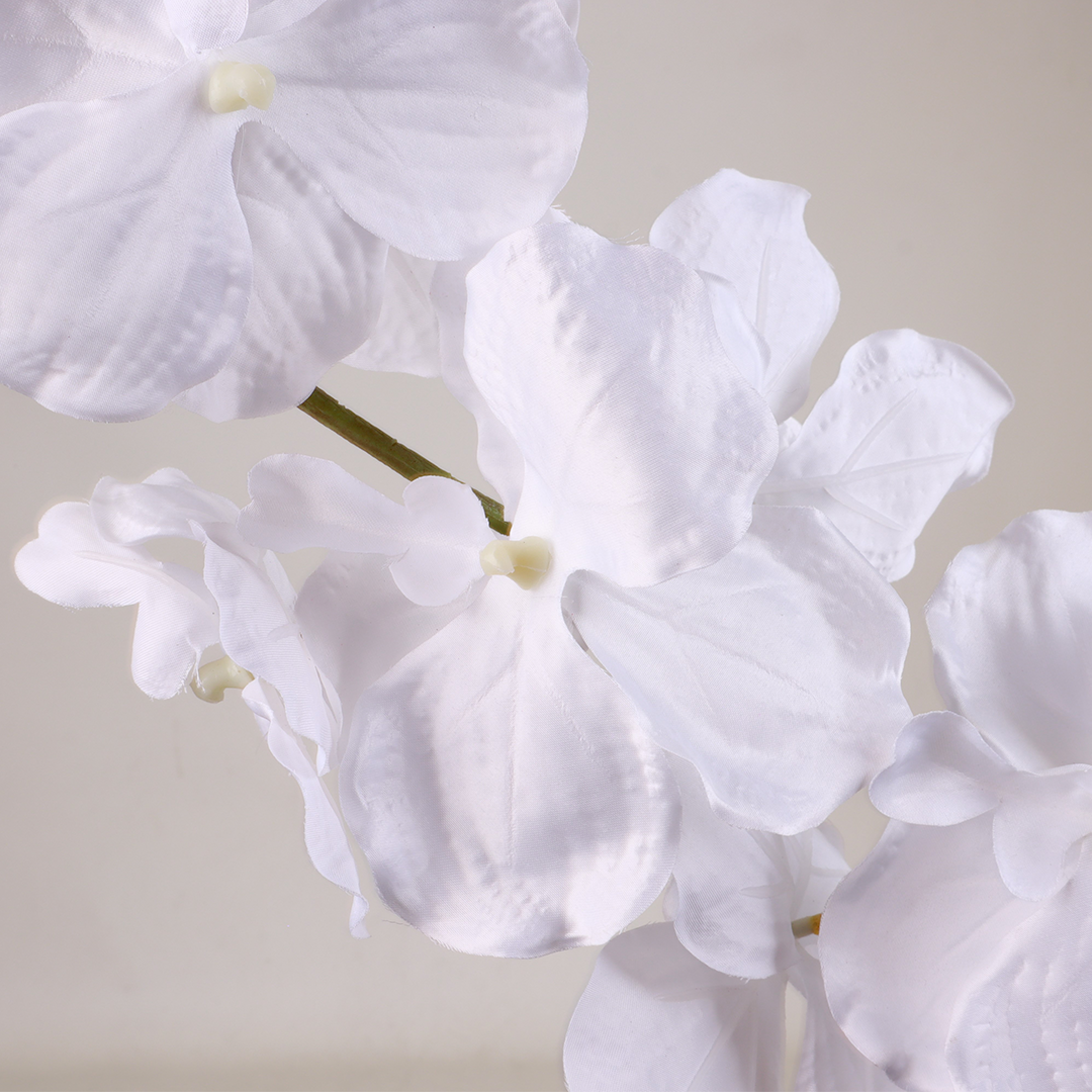Phalaenopsis Snow Flower - Accessories | Vinoti Living