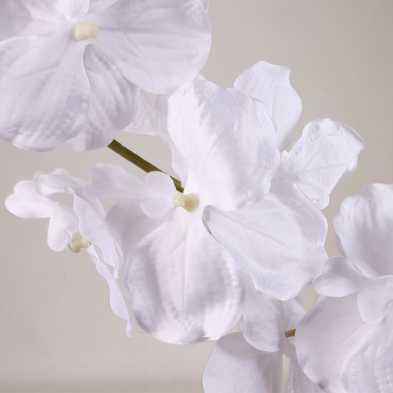 Phalaenopsis Snow Flower - Accessories | Vinoti Living