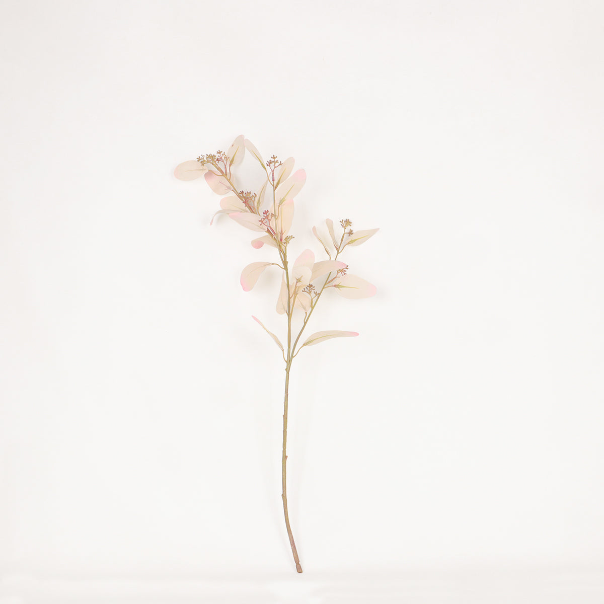 Paris Eucalyptus - Blush - Accessories | Vinoti Living