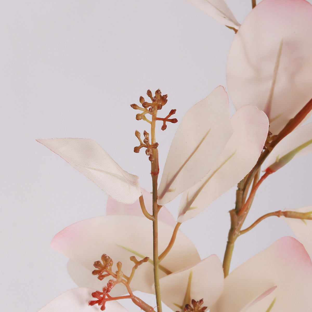 Paris Eucalyptus - Blush - Accessories | Vinoti Living