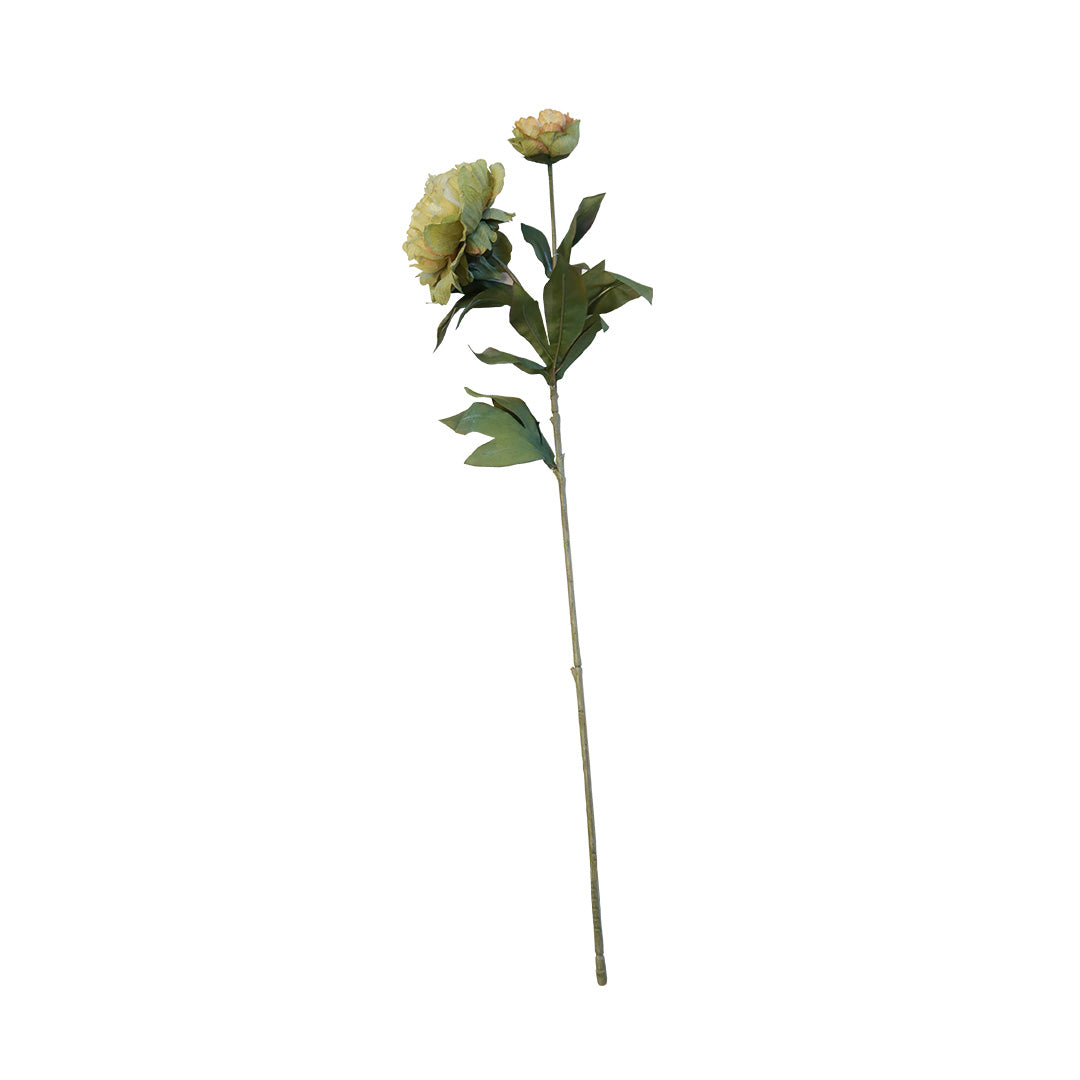 Peony Moss Green Flower - Accessories | Vinoti Living