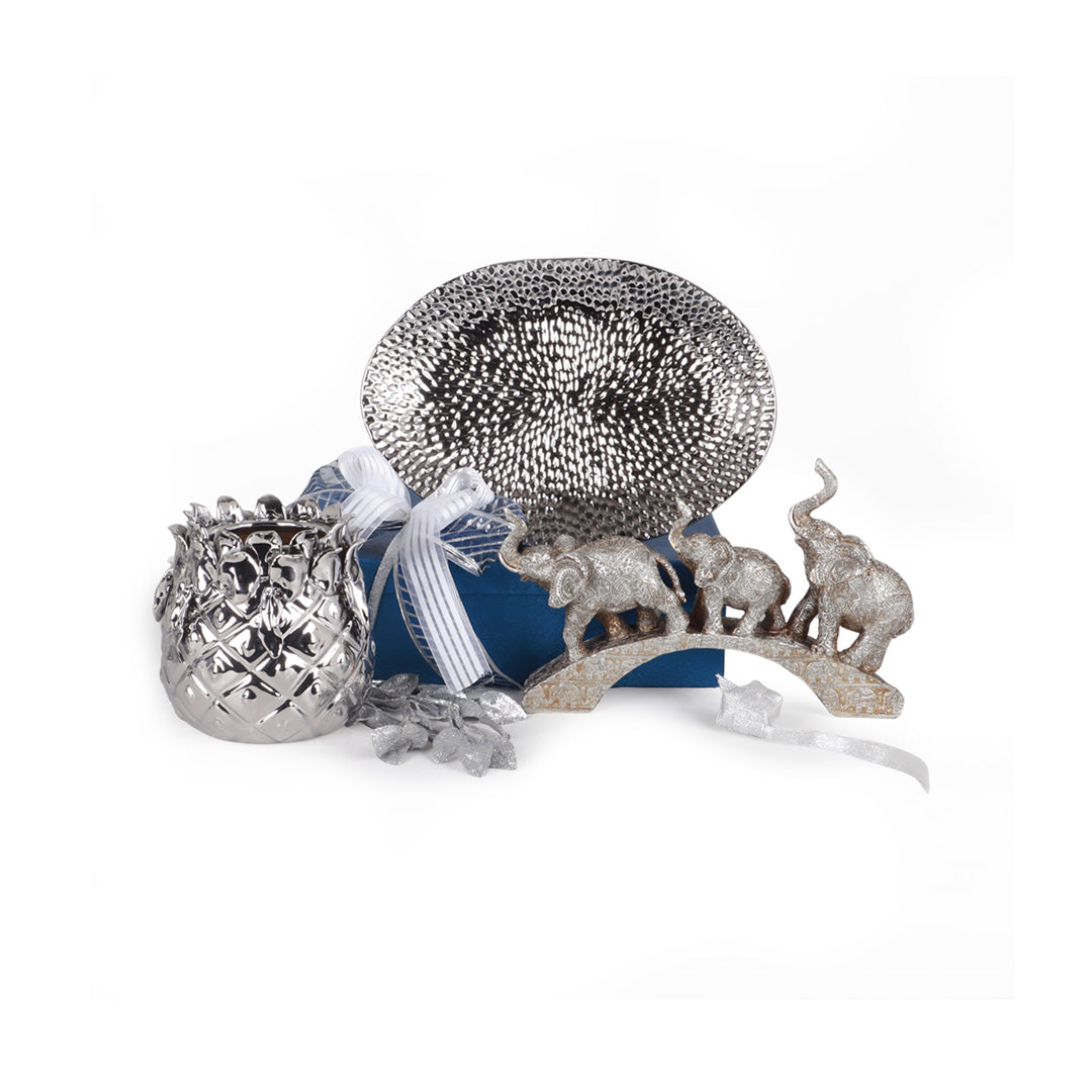 Poised Argent Parcel | Vinoti Living