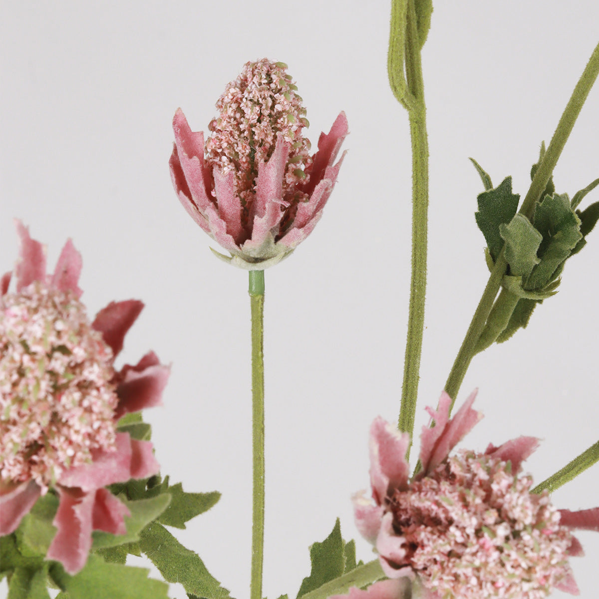 Thistle X6 - Purple - Accessories | Vinoti Living