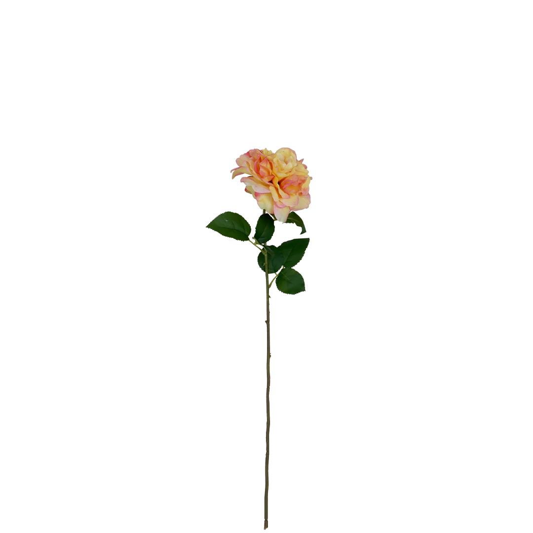 Wild Rose Melba Flower - Accessories | Vinoti Living