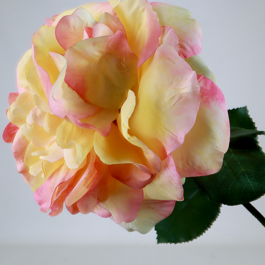 Wild Rose Melba Flower - Accessories | Vinoti Living