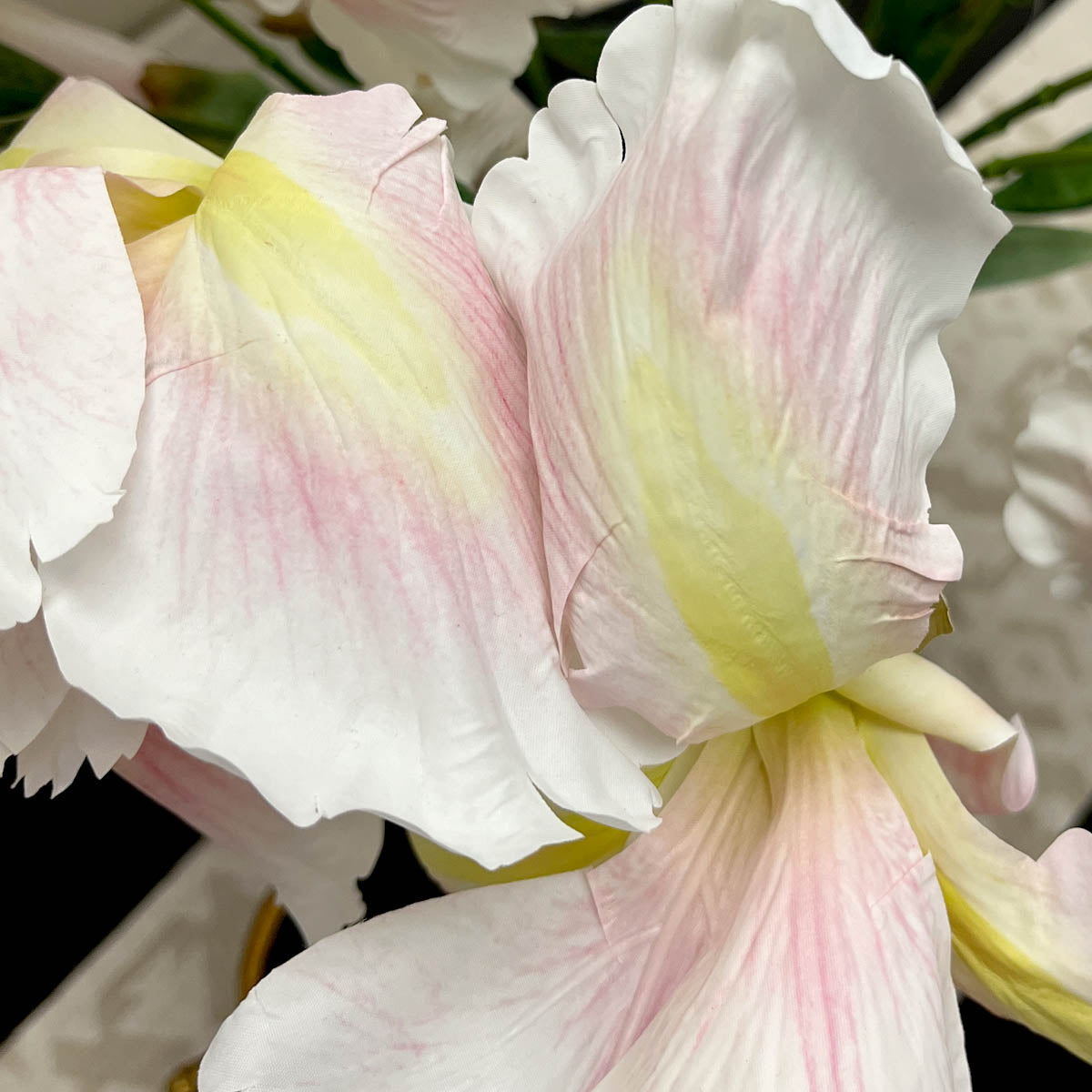 Aliceara White Flower