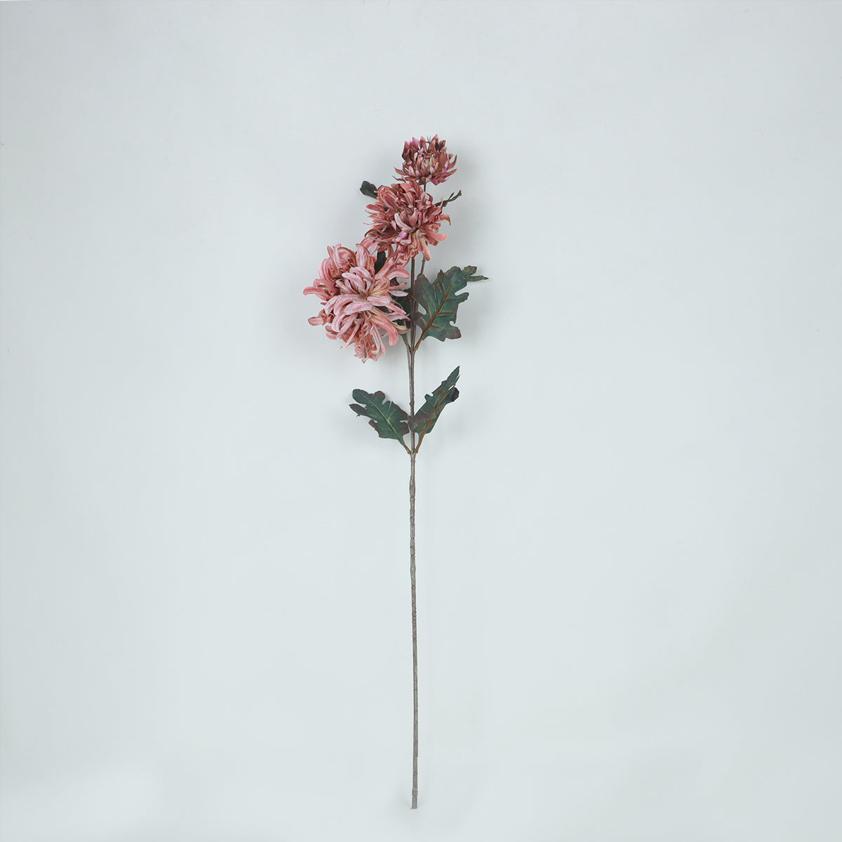 Chrysanthemum Rosy Flower - Accessories | Vinoti Living