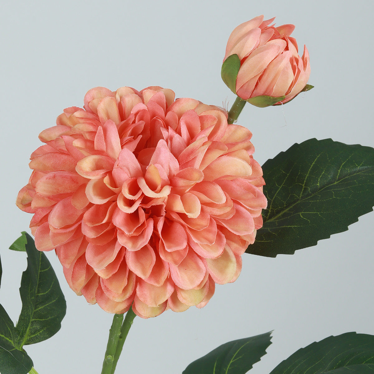 Dahlia Orange Flower - Accessories | Vinoti Living