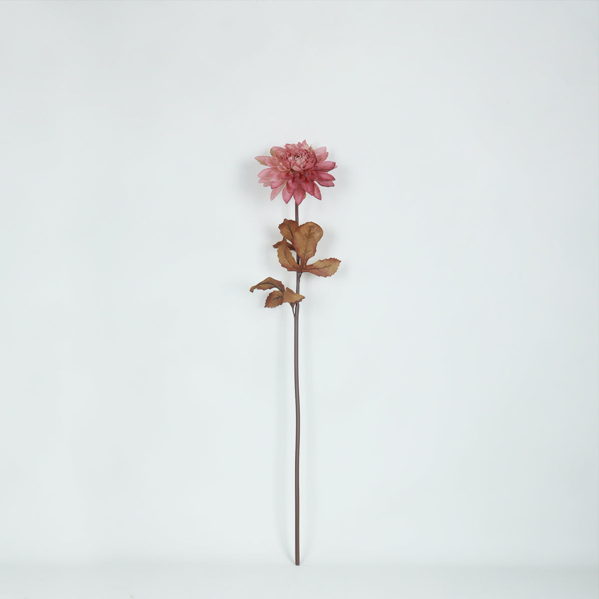 Dahlia Pink Flower - Accessories | Vinoti Living