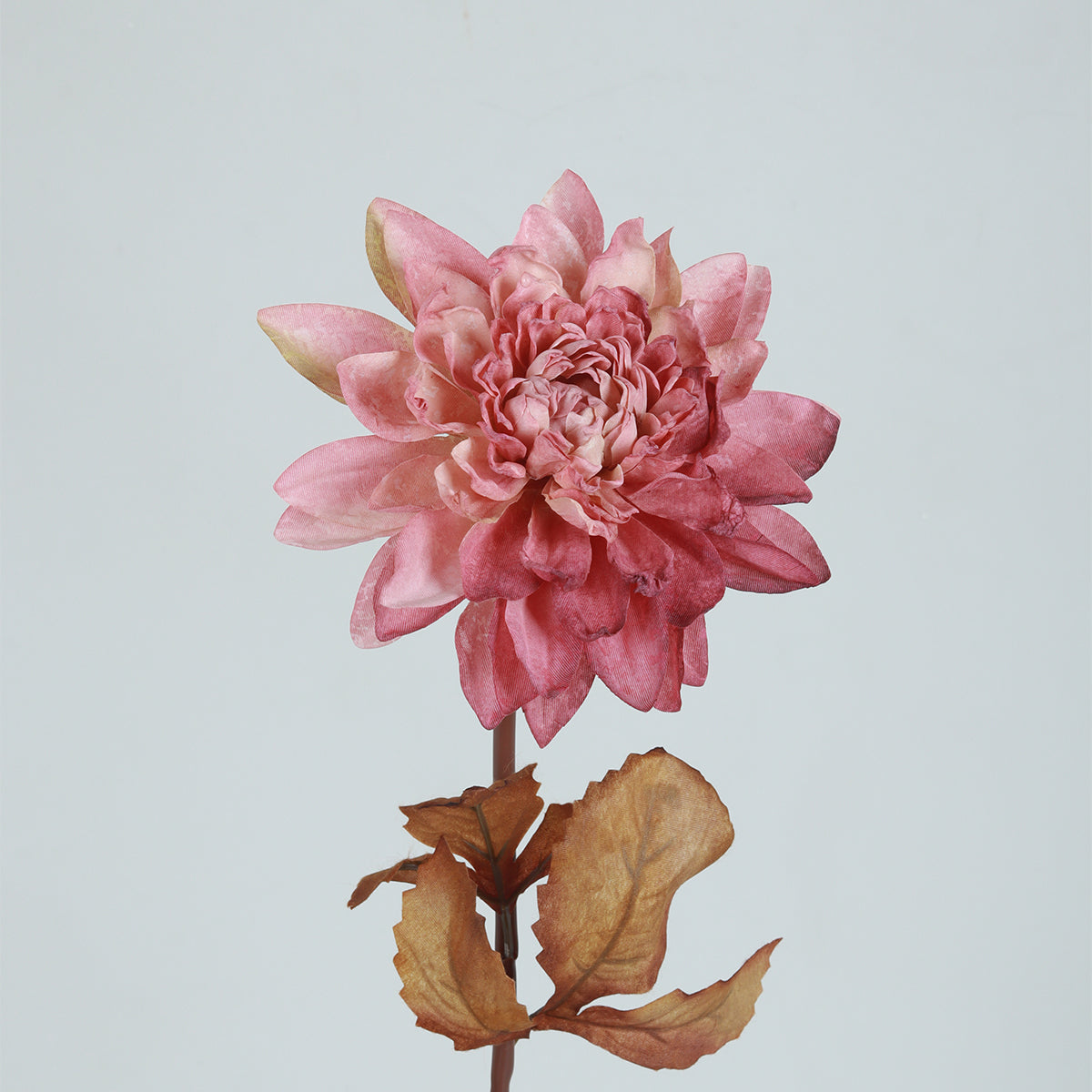 Dahlia Pink Flower - Accessories | Vinoti Living