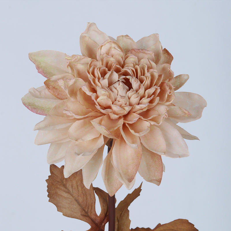 Dahlia Wheat Flower - Accessories | Vinoti Living