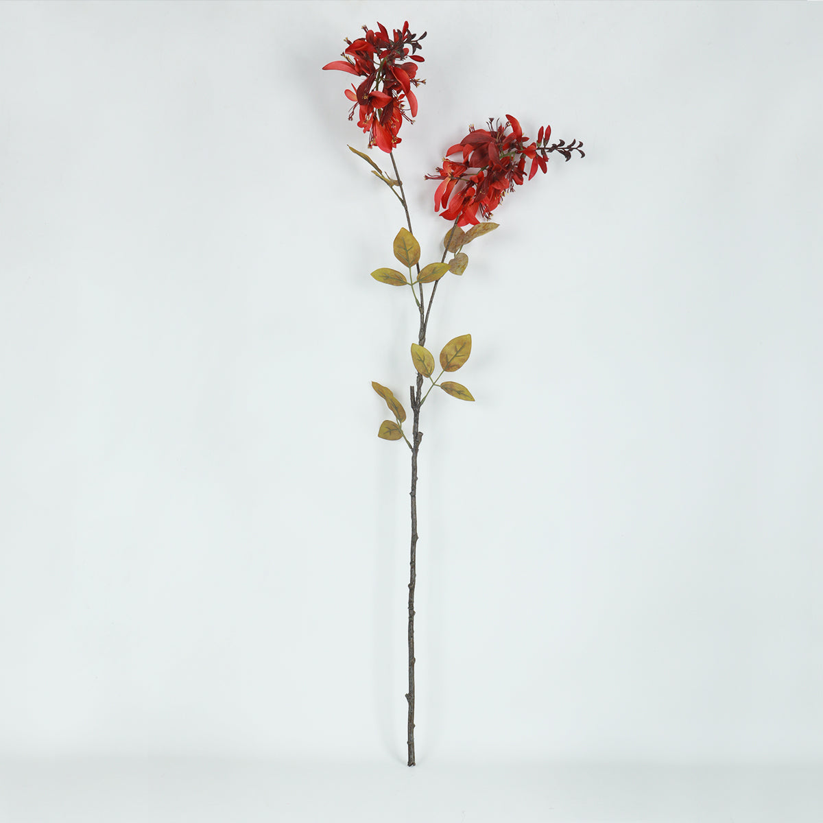 Erythrina Sunset Flower - Accessories | Vinoti Living