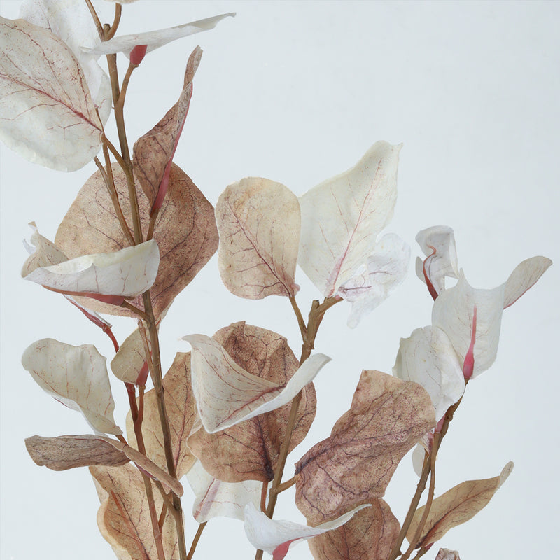 Eucalyptus Blush - Accessories | Vinoti Living