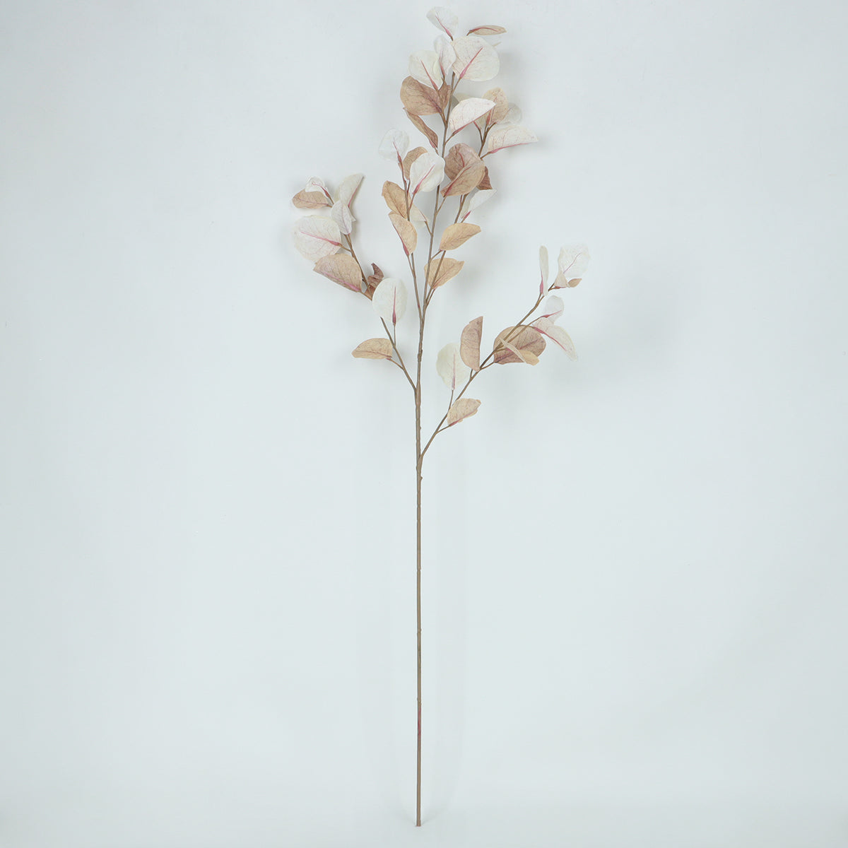 Eucalyptus Blush - Accessories | Vinoti Living