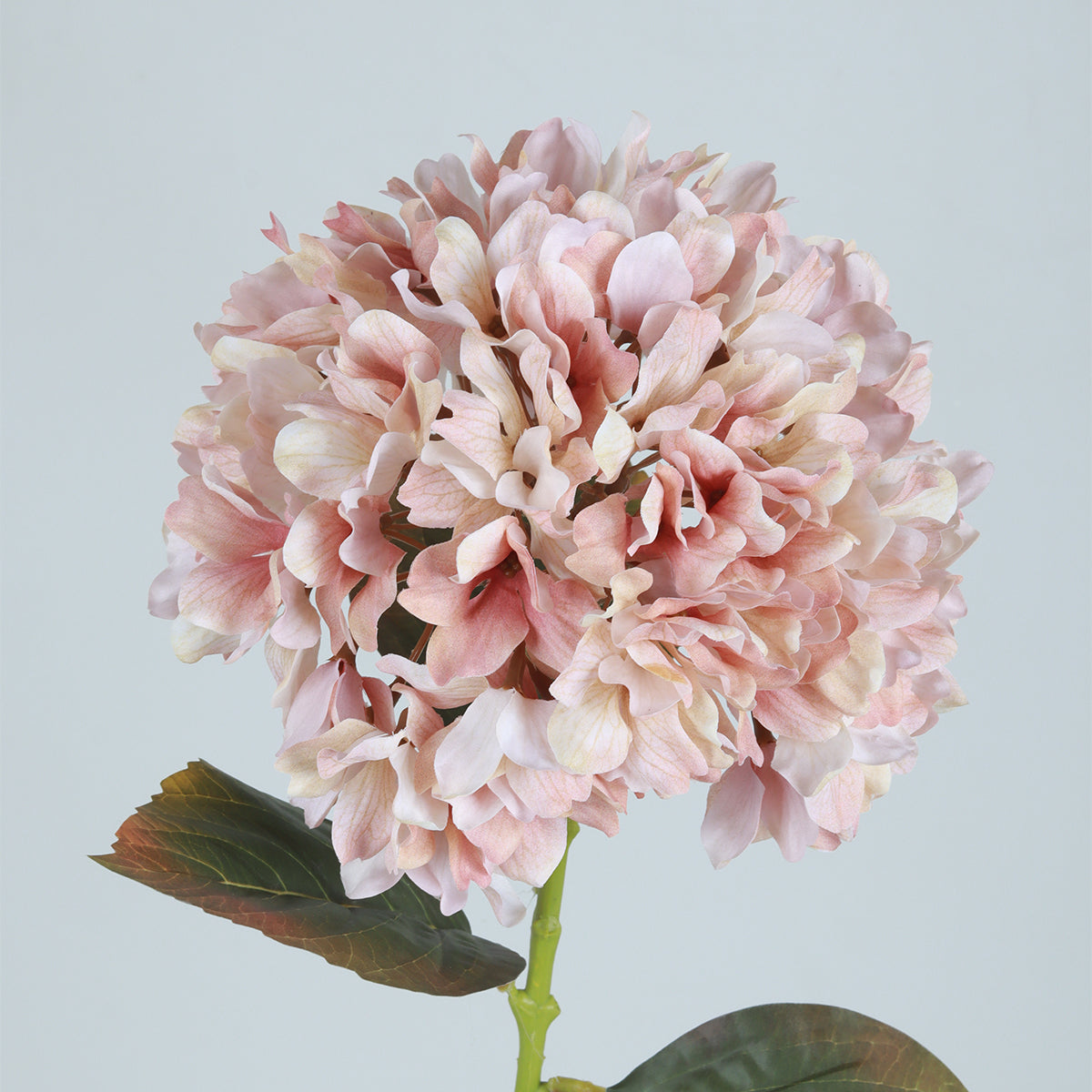 Hydrangea Blush Flower - Accessories | Vinoti Living