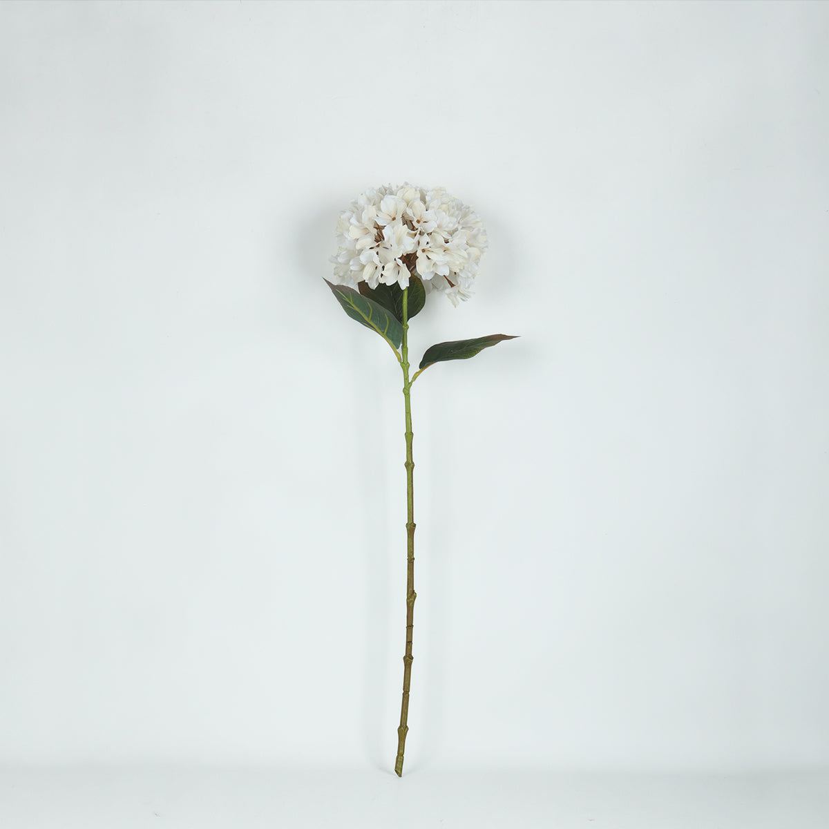 Hydrangea Ivory Flower - Accessories | Vinoti Living