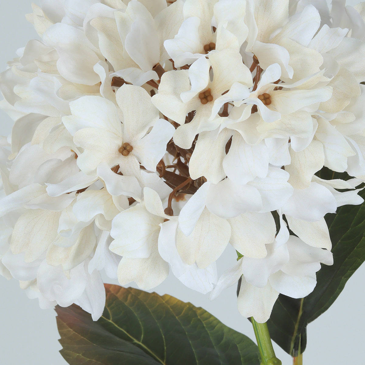 Hydrangea Ivory Flower - Accessories | Vinoti Living