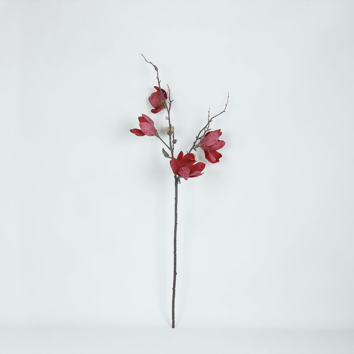 Magnolia Magenta - Flower | Vinoti Living