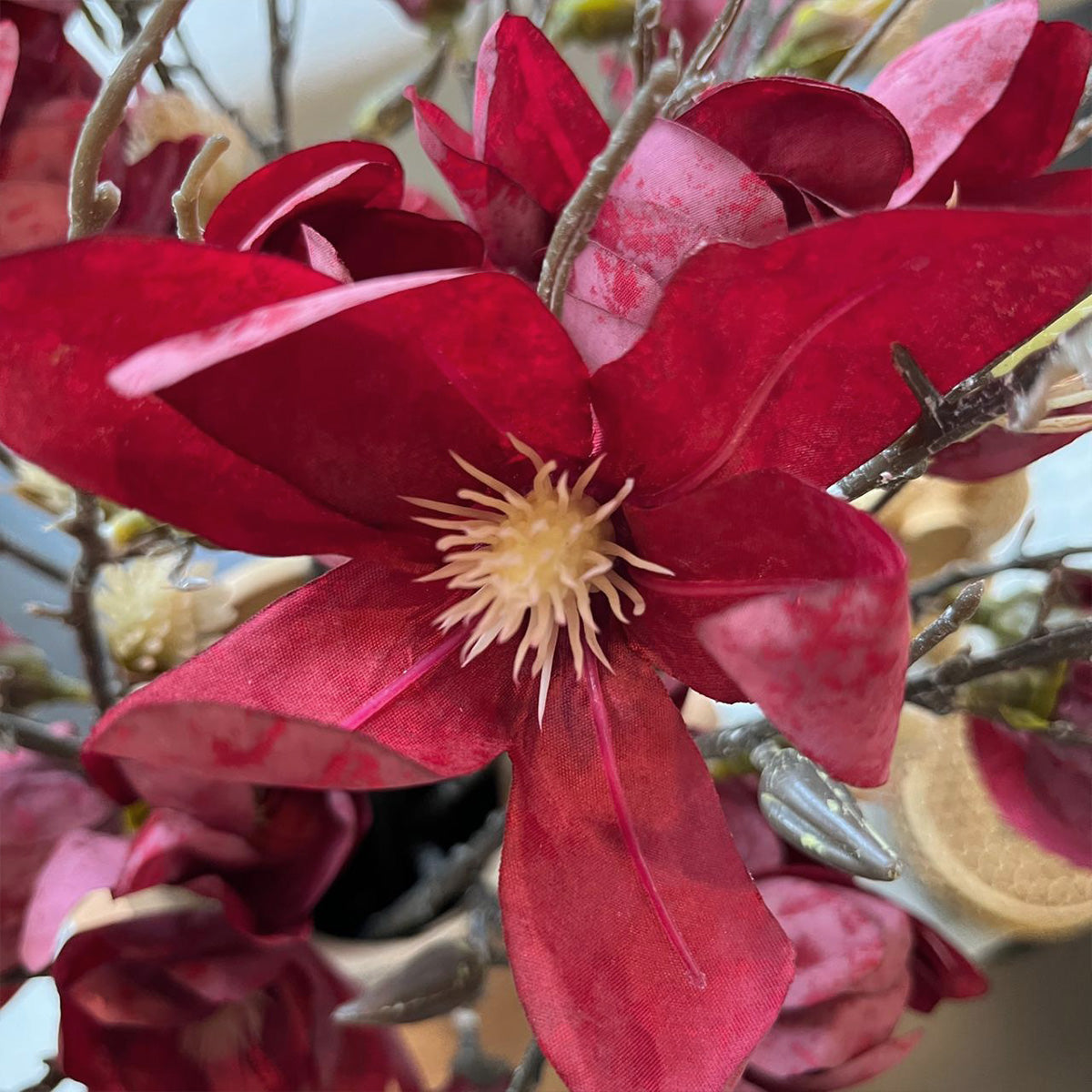 Magnolia Magenta - Flower | Vinoti Living