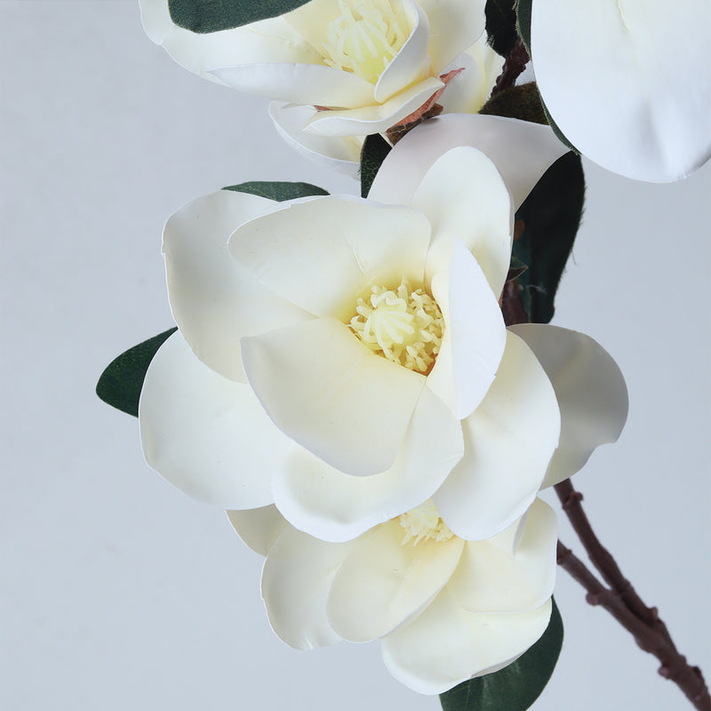 Magnolia White - Accessories | Vinoti Living