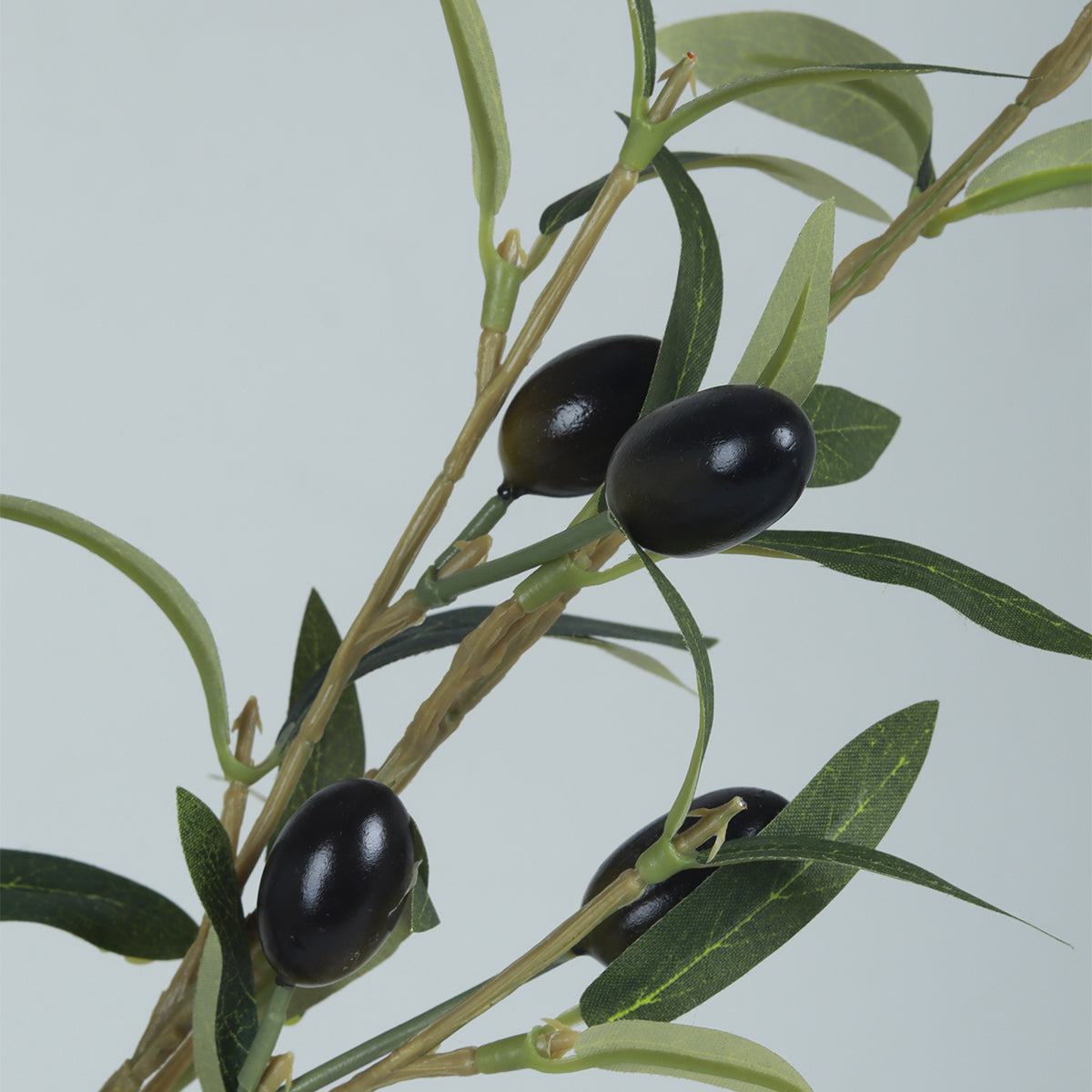 Olive Leaves Flower