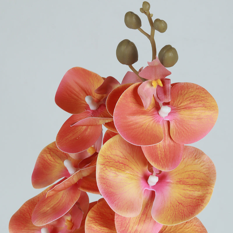 Phalaenopsis Orange Flower - Accessories | Vinoti Living